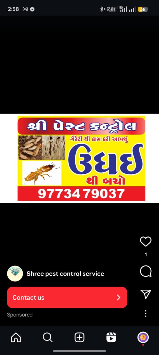 ઉધઈ ની દવા છાંટી આપી શુ