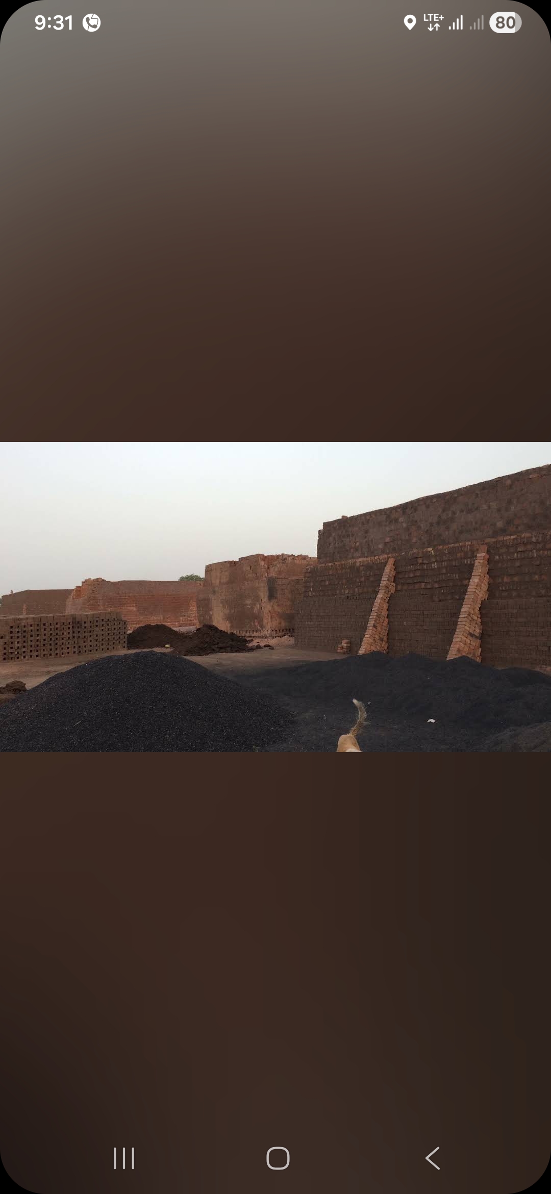 Bricks