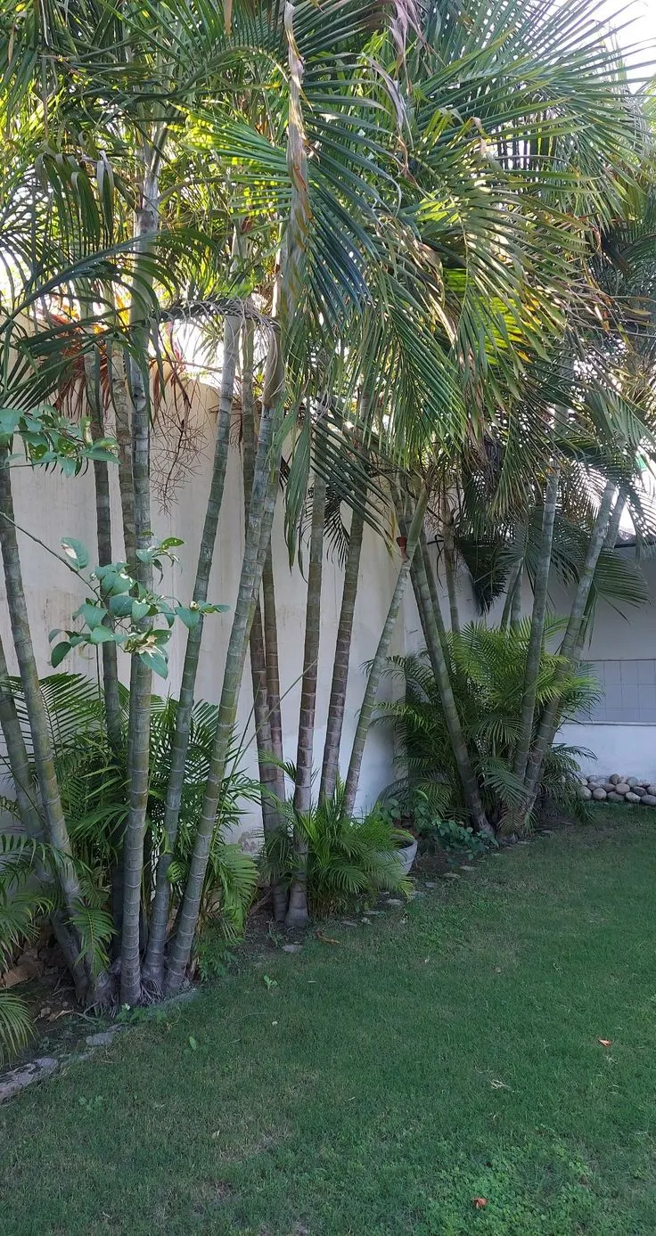 Go Green Garden